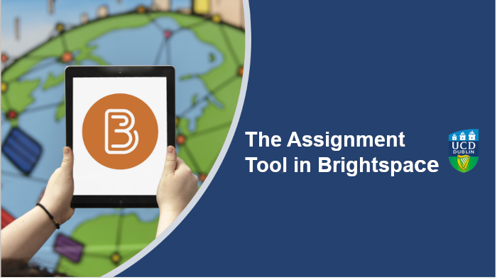 Click here to view our training video on \'The Assignment Tool in Brightspace\'